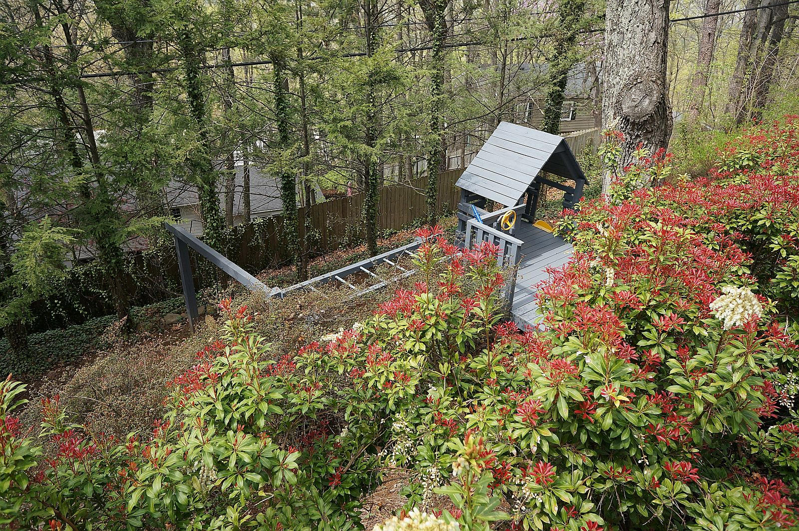 3113 Stoneridge Road Southwest Roanoke, VA 24014 - Photo 37 of 42 a view of a yard with plants and wooden fence
