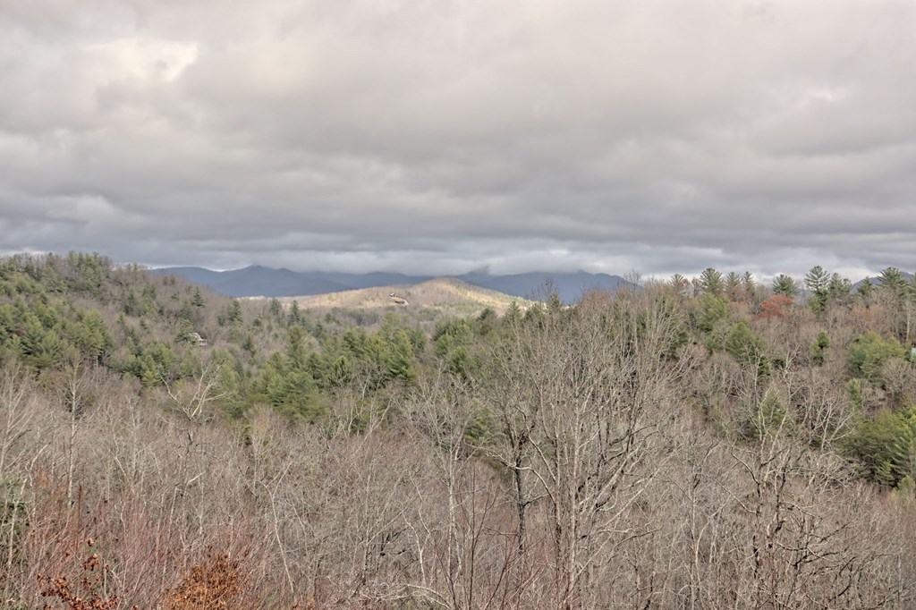 116 Souther Ridge Connector Blairsville, GA 30512 - Photo 38 of 87 Gallery Image 38