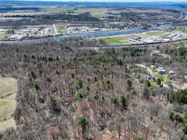 a view of a lake with a mountain and trees
