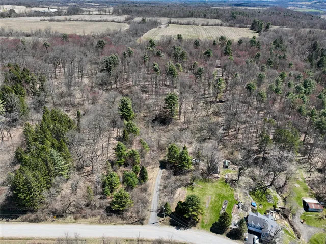 a view of a forest with a house