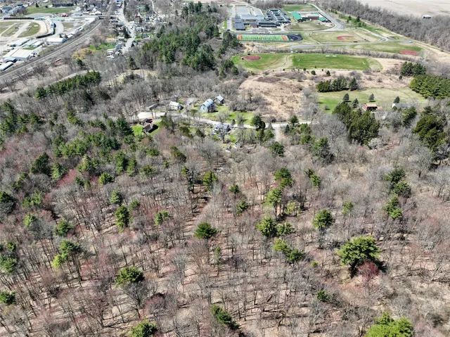 a view of a yard with a plant