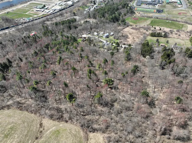 a view of a yard with a tree