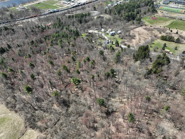 a view of a yard with a tree