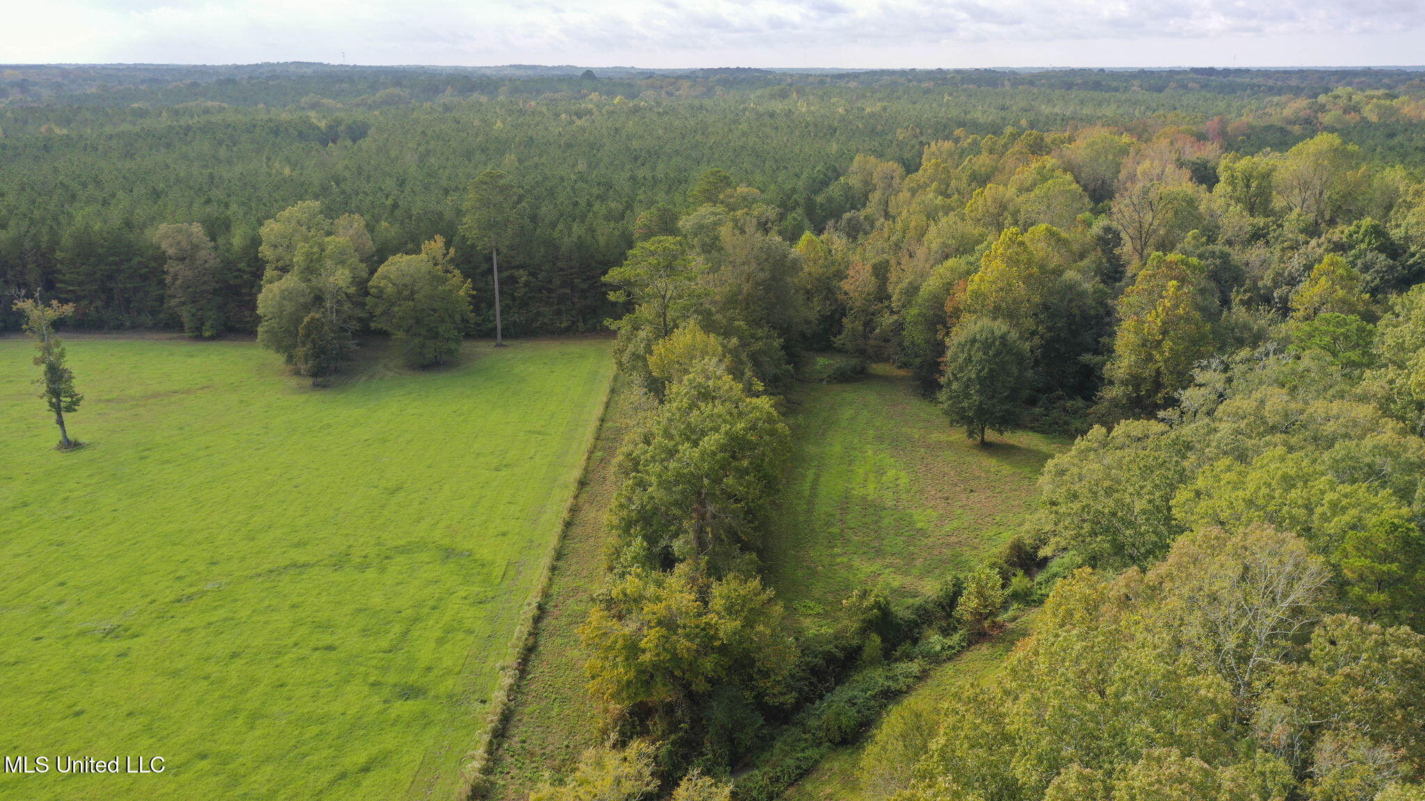 781 Miggins Road Canton, MS 39046 - Photo 113 of 136 113-web-or-mls-781 Miggins-112