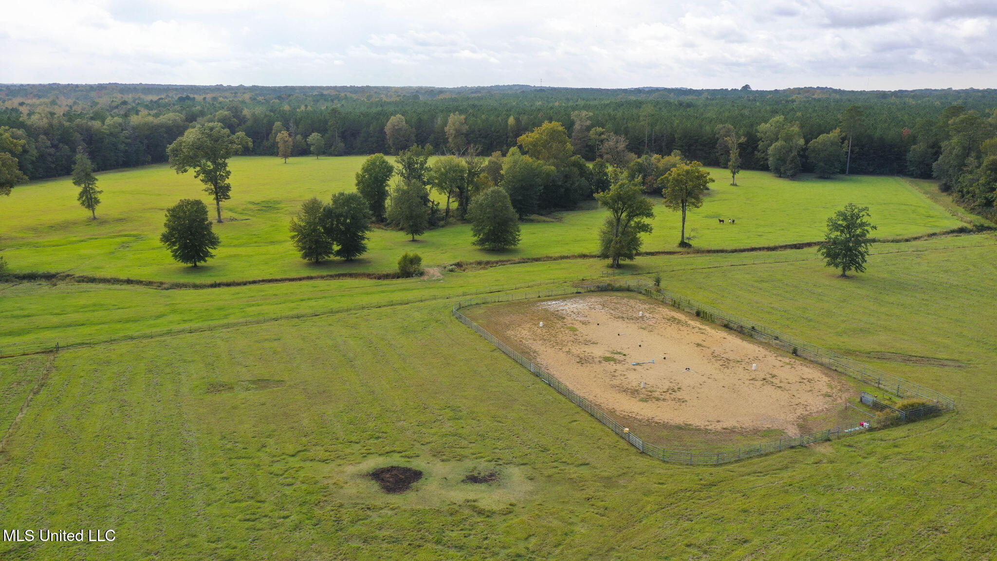 781 Miggins Road Canton, MS 39046 - Photo 113 of 122 124-web-or-mls-781 Miggins-123