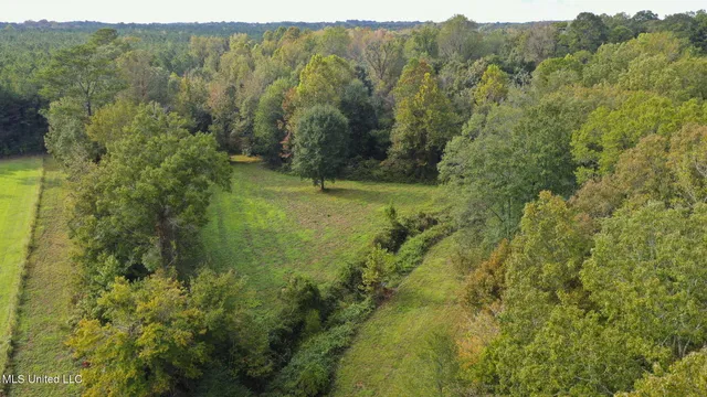 $650,000 | 781 Miggins Road, Canton, MS 39046