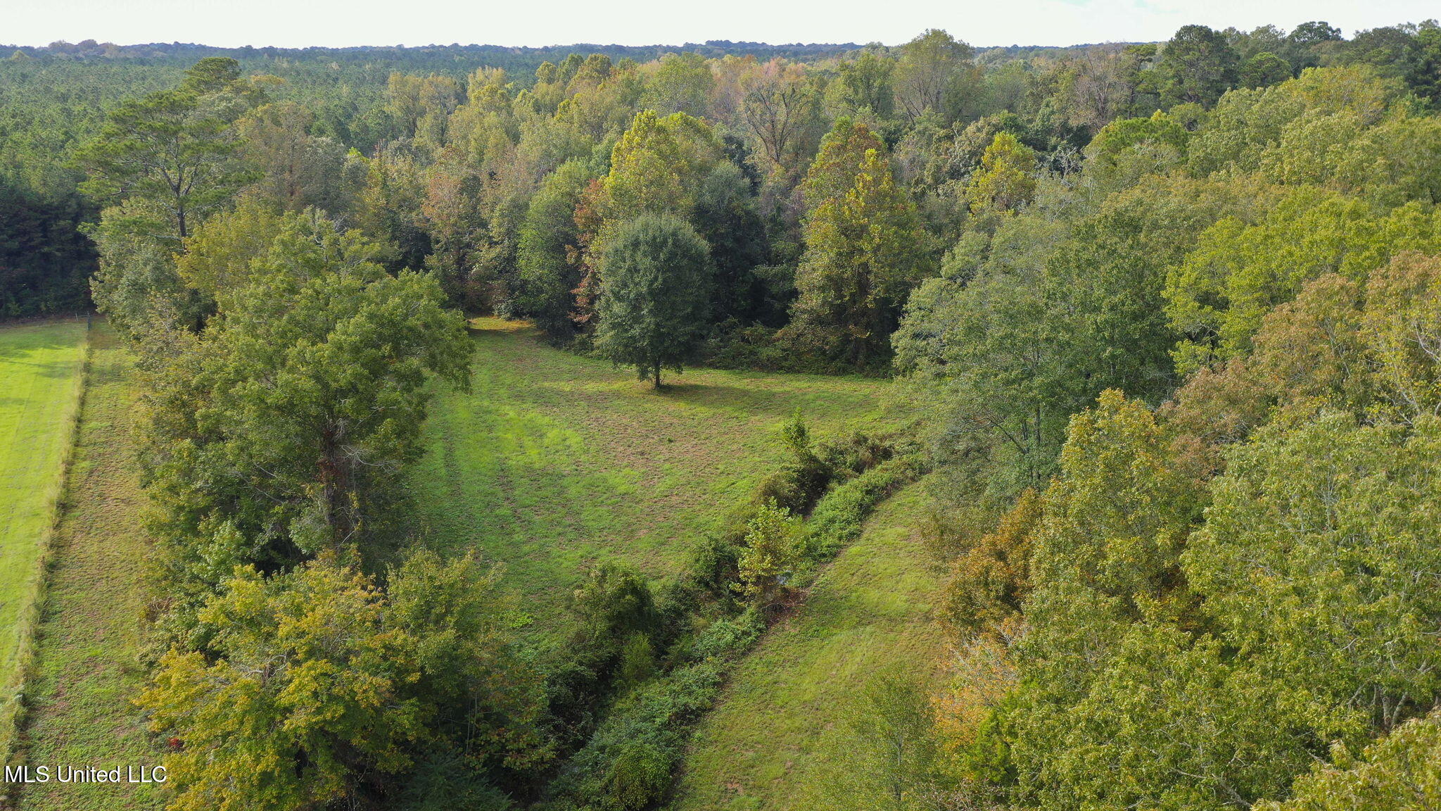 781 Miggins Road Canton, MS 39046 - Photo 114 of 136 114-web-or-mls-781 Miggins-113