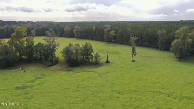 $650,000 | 781 Miggins Road, Canton, MS 39046