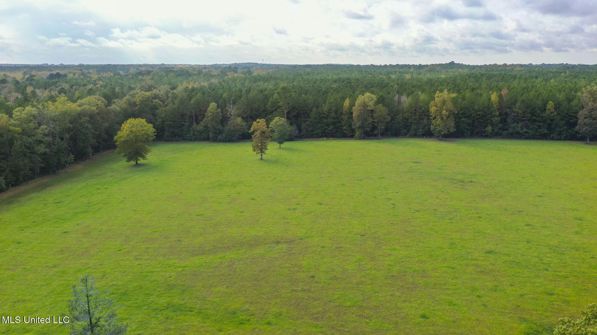 781 Miggins Road Canton, MS 39046 - Photo 115 of 122 129-web-or-mls-781 Miggins-128