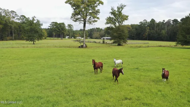 $650,000 | 781 Miggins Road, Canton, MS 39046