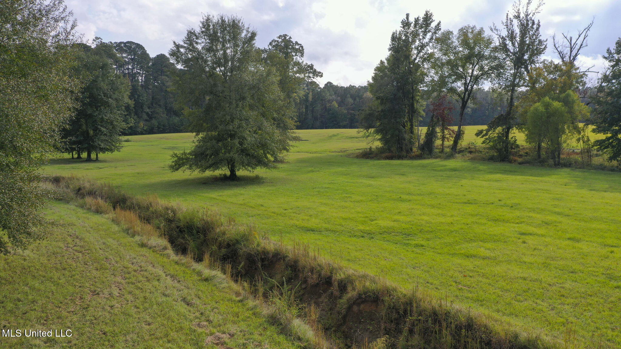 781 Miggins Road Canton, MS 39046 - Photo 117 of 136 120-web-or-mls-781 Miggins-119