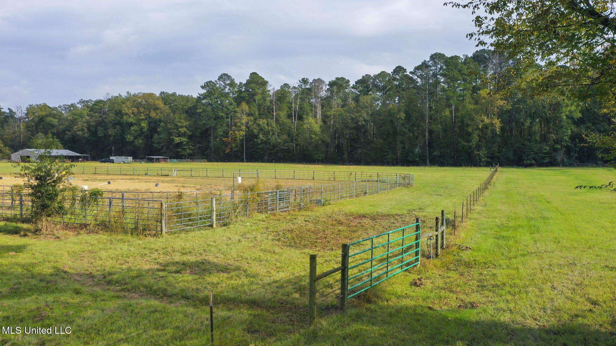 781 Miggins Road Canton, MS 39046 - Photo 118 of 136 121-web-or-mls-781 Miggins-120