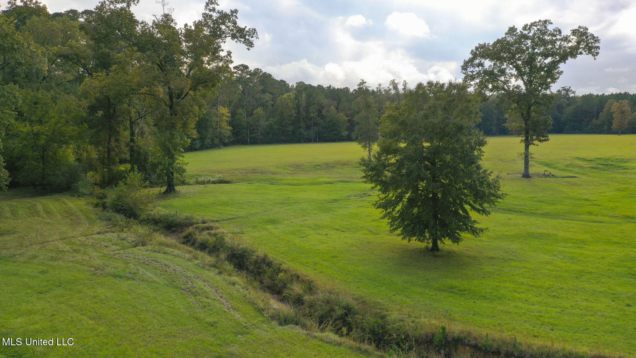 781 Miggins Road Canton, MS 39046 - Photo 122 of 136 128-web-or-mls-781 Miggins-127