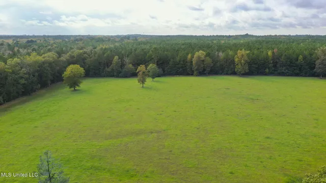 $650,000 | 781 Miggins Road, Canton, MS 39046