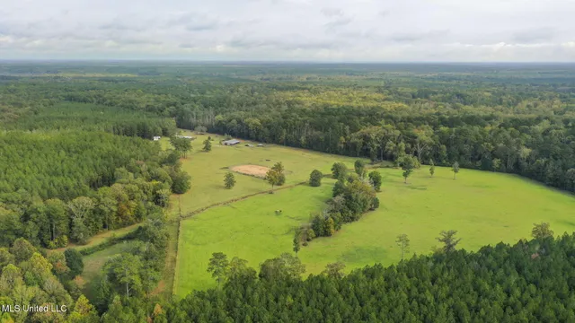 $650,000 | 781 Miggins Road, Canton, MS 39046