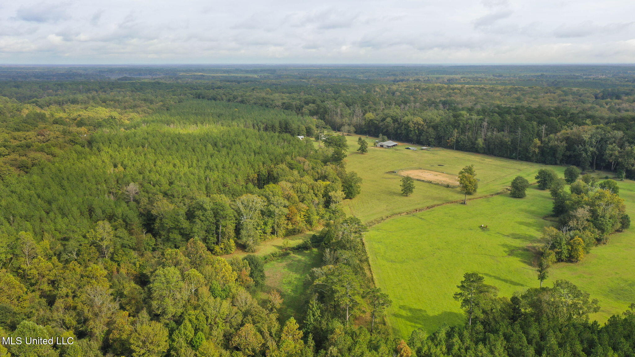 781 Miggins Road Canton, MS 39046 - Photo 126 of 136 134-web-or-mls-781 Miggins-131