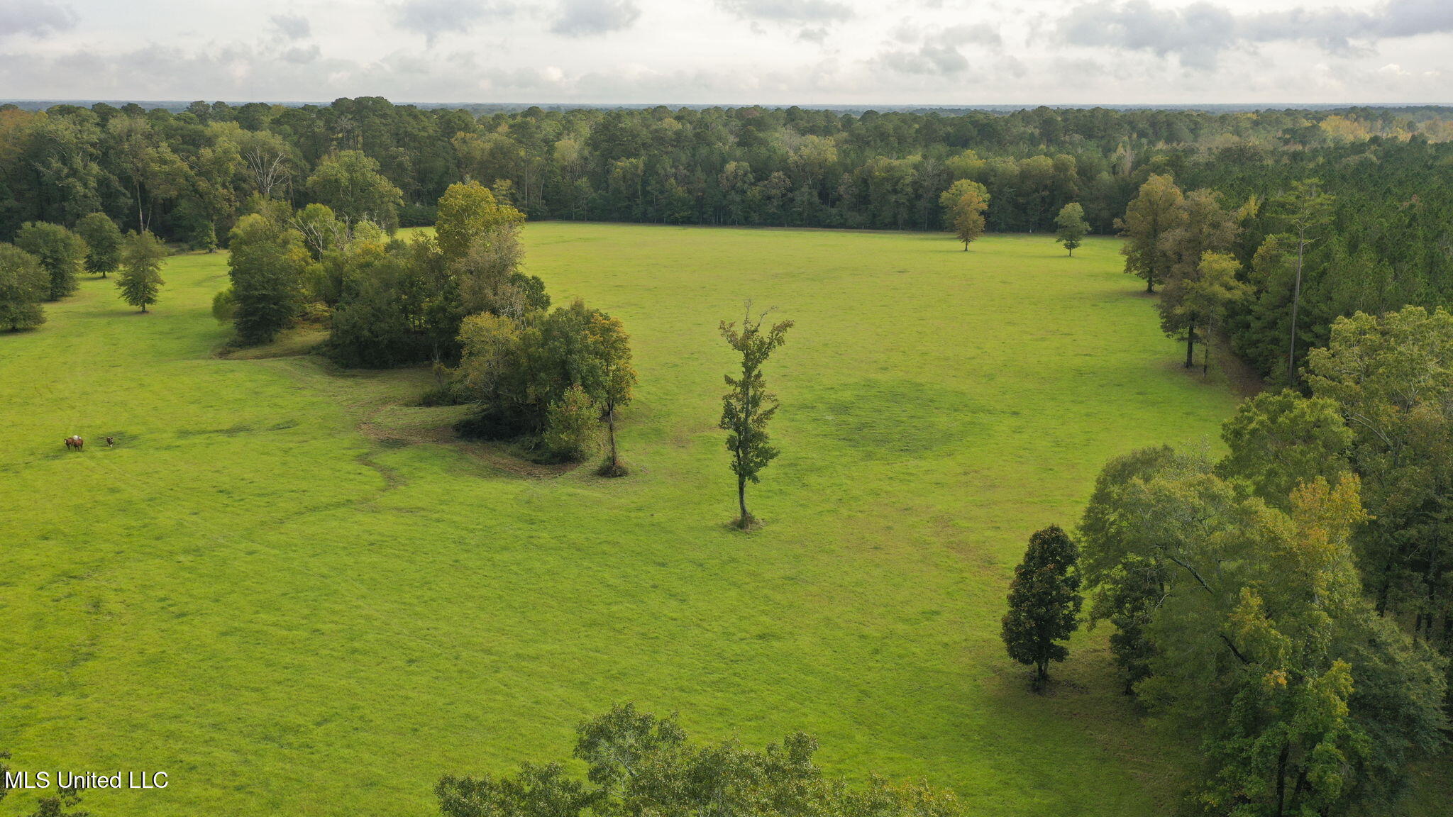 781 Miggins Road Canton, MS 39046 - Photo 128 of 136 137-web-or-mls-781 Miggins-133