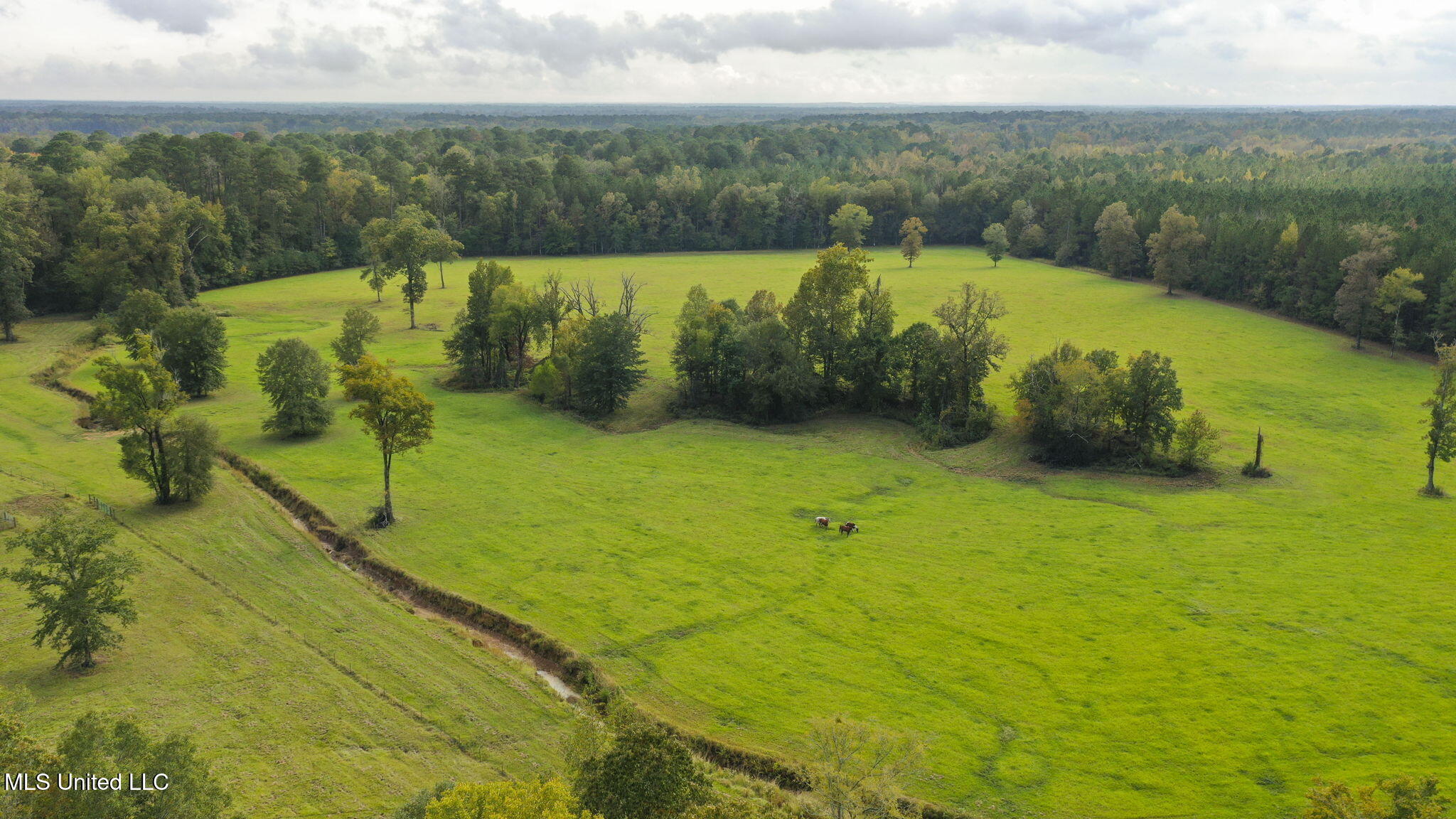 781 Miggins Road Canton, MS 39046 - Photo 129 of 136 138-web-or-mls-781 Miggins-134