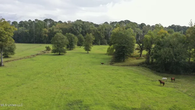 $650,000 | 781 Miggins Road, Canton, MS 39046