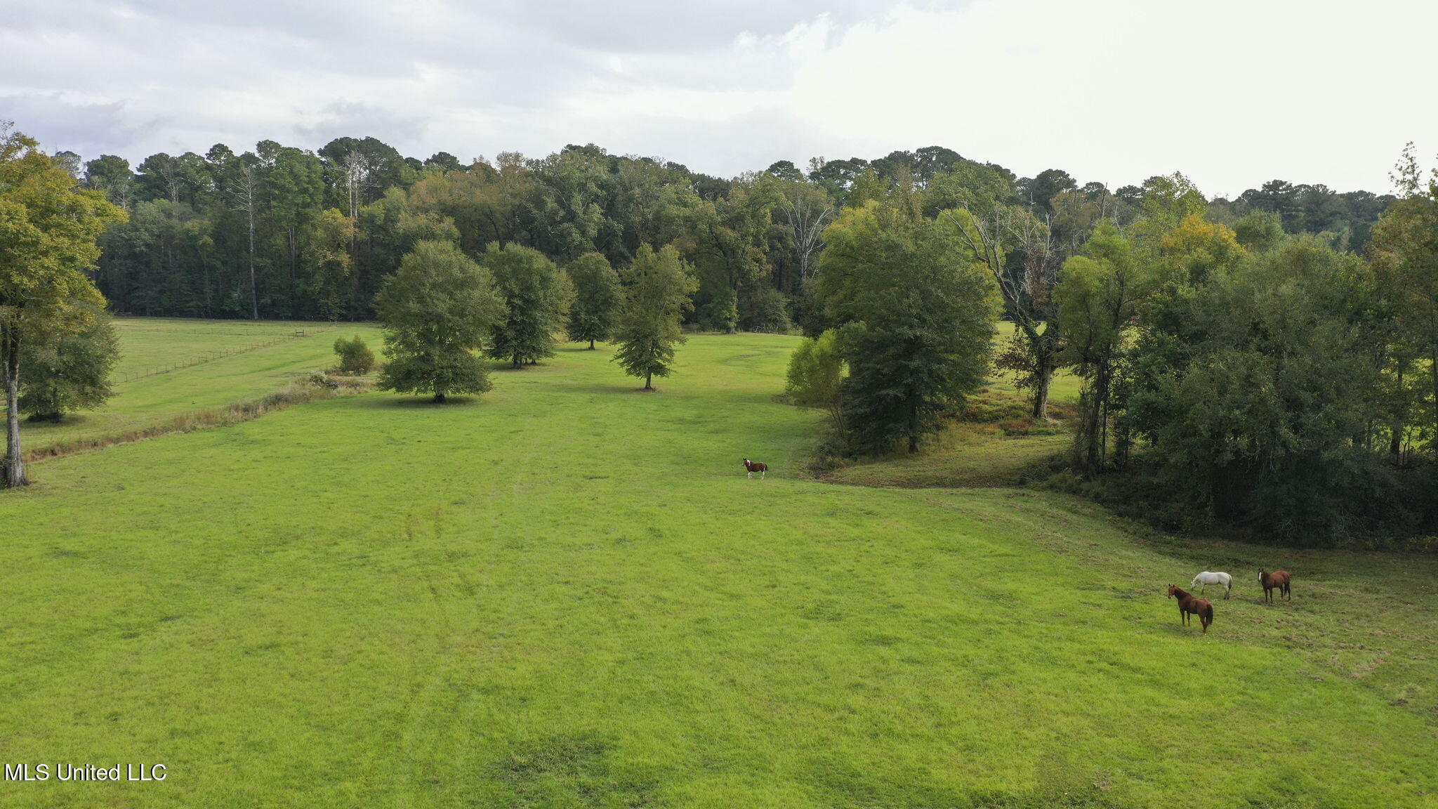 781 Miggins Road Canton, MS 39046 - Photo 6 of 136 116-web-or-mls-781 Miggins-115