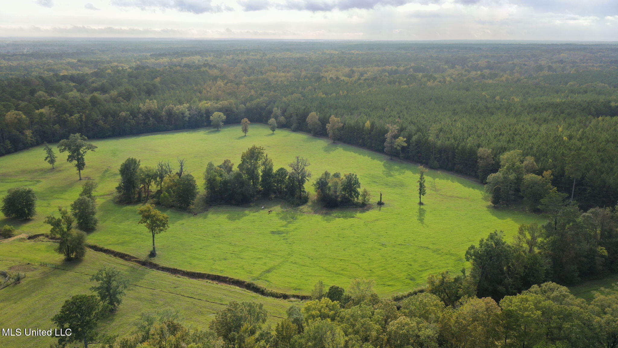 781 Miggins Road Canton, MS 39046 - Photo 7 of 136 112-web-or-mls-781 Miggins-111