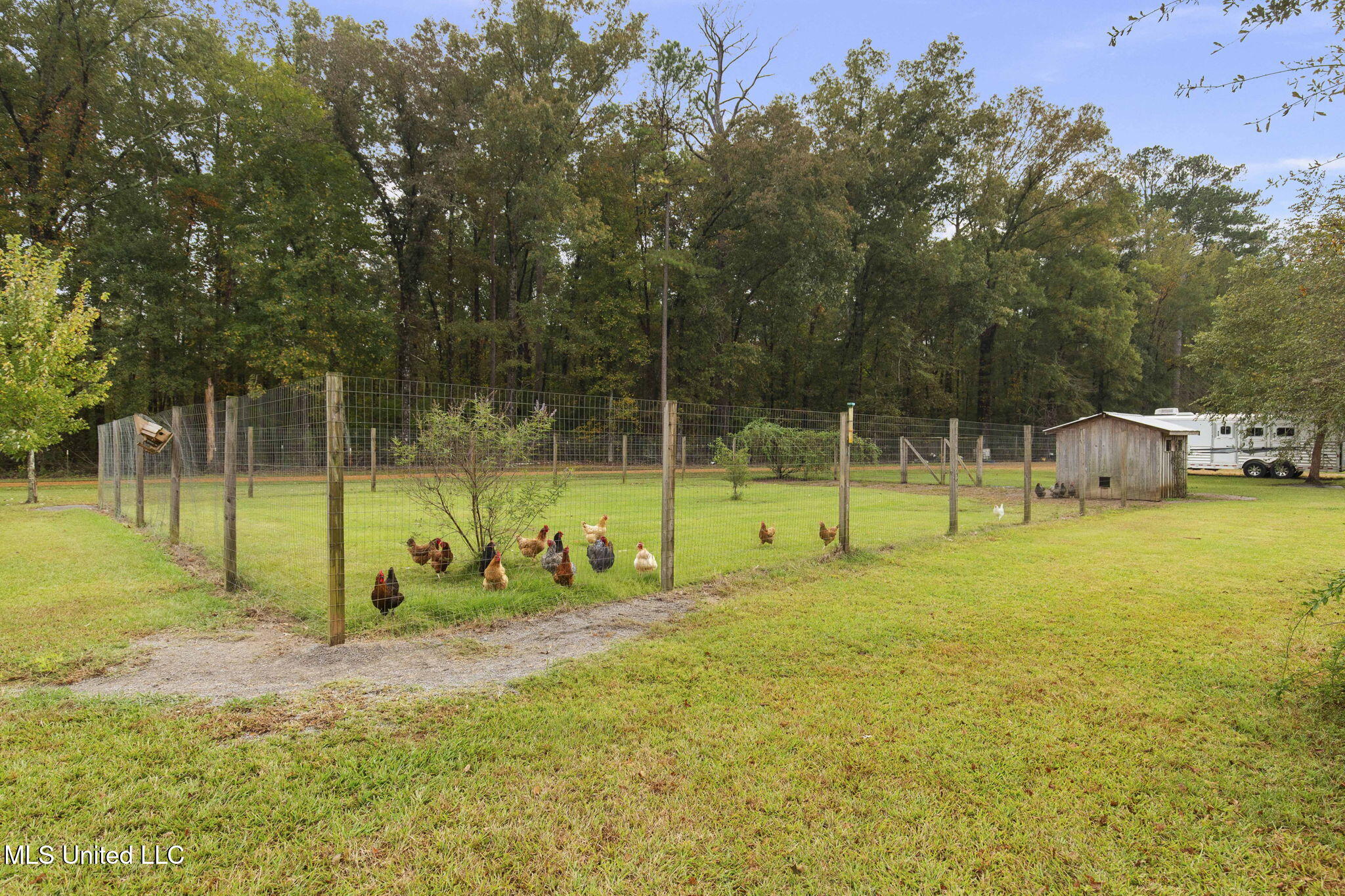 781 Miggins Road Canton, MS 39046 - Photo 90 of 122 85-web-or-mls-781 Miggins-85