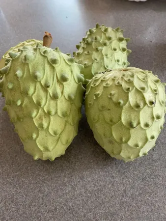 $1,279,000 | 14302 Sandown Court, Poway, CA 92064