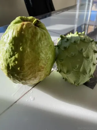 $1,279,000 | 14302 Sandown Court, Poway, CA 92064