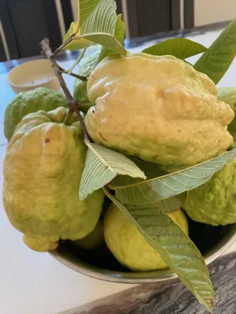 $1,279,000 | 14302 Sandown Court, Poway, CA 92064