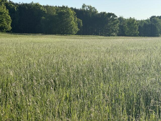 Tbd Buchanan Road, Unit LOT A Stanwood, MI 49346 - Photo 1 of 9 IMG_1052