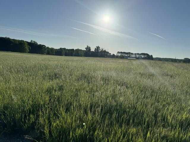 Tbd Buchanan Road, Unit LOT A Stanwood, MI 49346 - Photo 2 of 9 IMG_1050