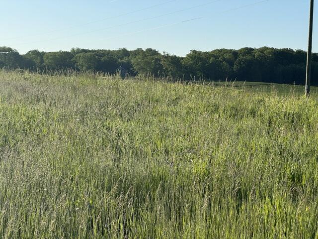 Tbd Buchanan Road, Unit LOT A Stanwood, MI 49346 - Photo 4 of 9 IMG_1053