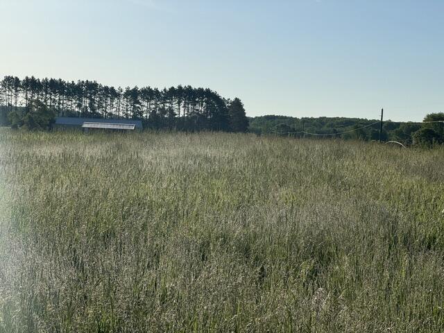 Tbd Buchanan Road, Unit LOT A Stanwood, MI 49346 - Photo 5 of 9 IMG_1054