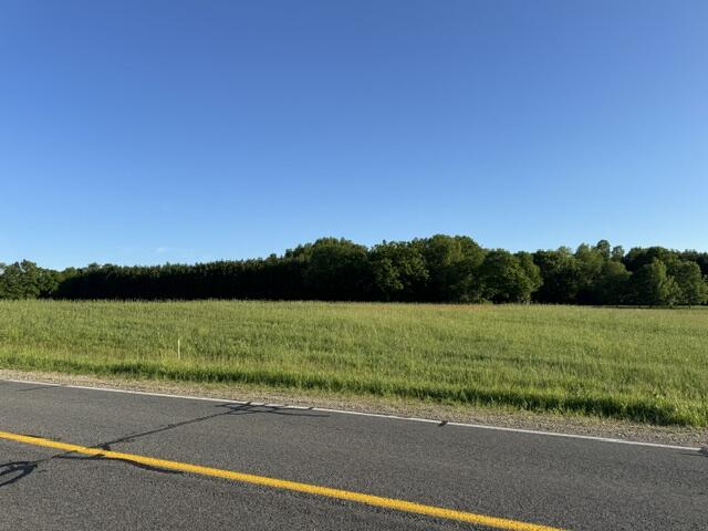 Tbd Buchanan Road, Unit LOT A Stanwood, MI 49346 - Photo 7 of 9 IMG_1056