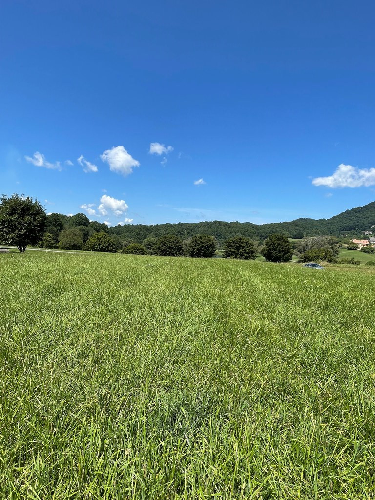 9 M Ridges Hayesville, NC 28904 - Photo 6 of 10