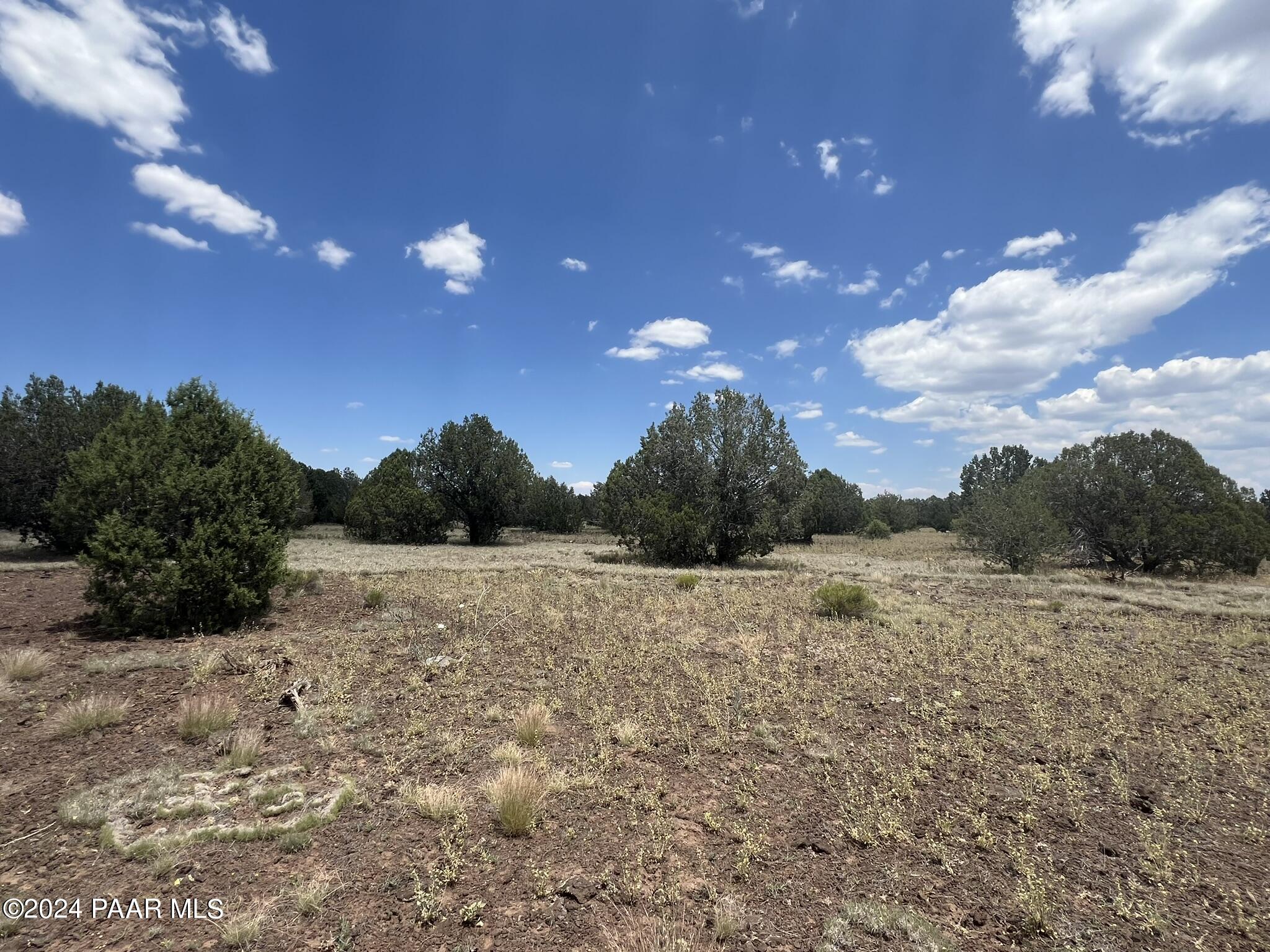 329 B/c Rut Road Ash Fork, AZ 86320 - Photo 1 of 17 IMG_5883