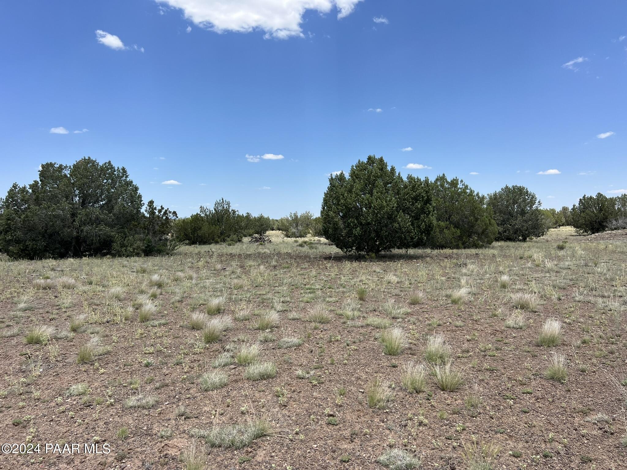 329 B/c Rut Road Ash Fork, AZ 86320 - Photo 11 of 17 IMG_5894