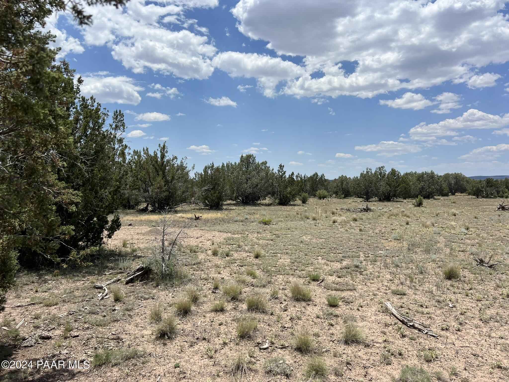 329 B/c Rut Road Ash Fork, AZ 86320 - Photo 12 of 17 IMG_5895