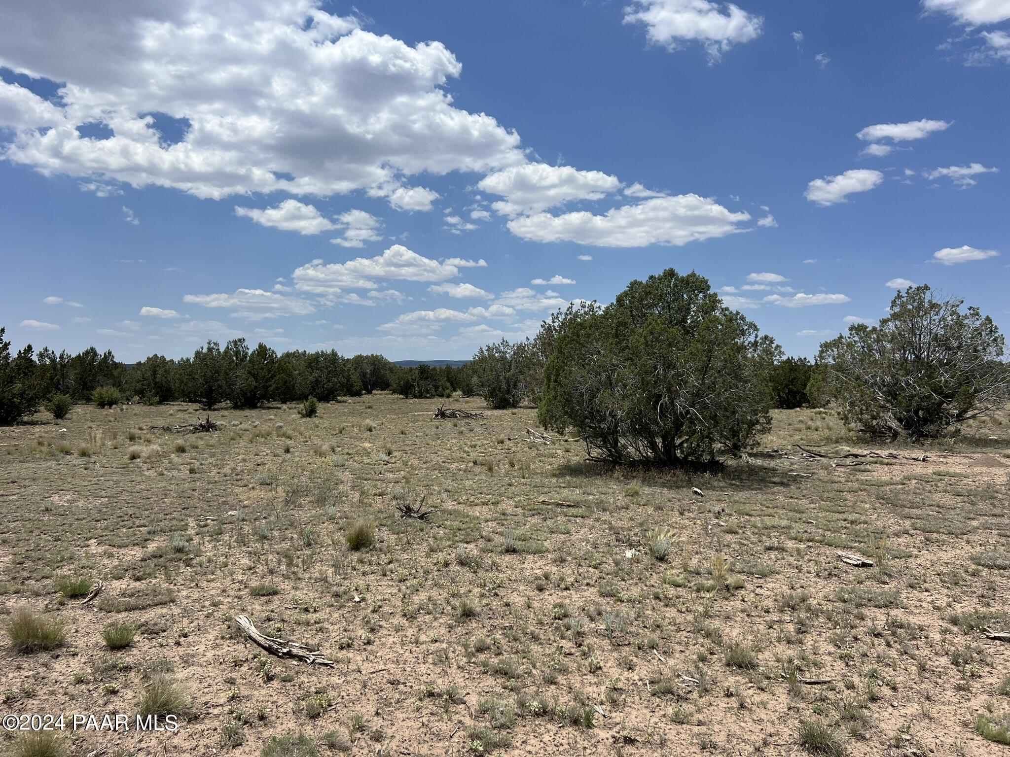 329 B/c Rut Road Ash Fork, AZ 86320 - Photo 13 of 17 IMG_5896