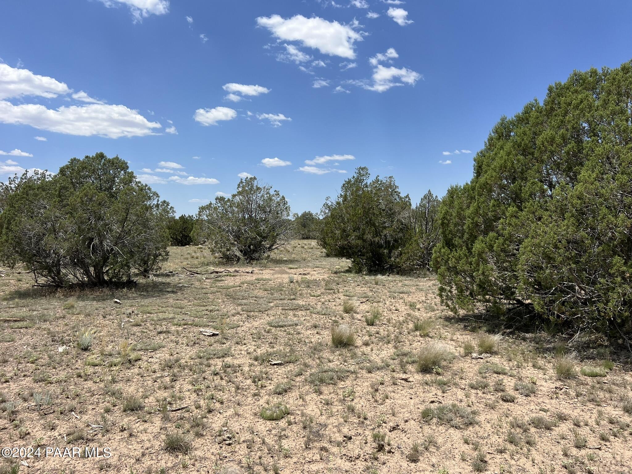 329 B/c Rut Road Ash Fork, AZ 86320 - Photo 14 of 17 IMG_5897
