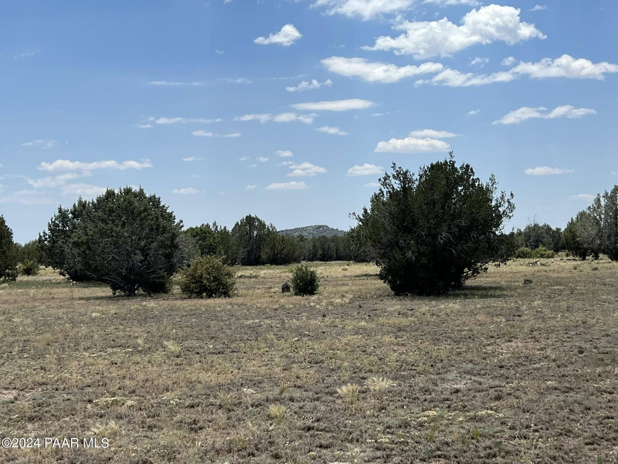 329 B/c Rut Road Ash Fork, AZ 86320 - Photo 16 of 17 IMG_5899