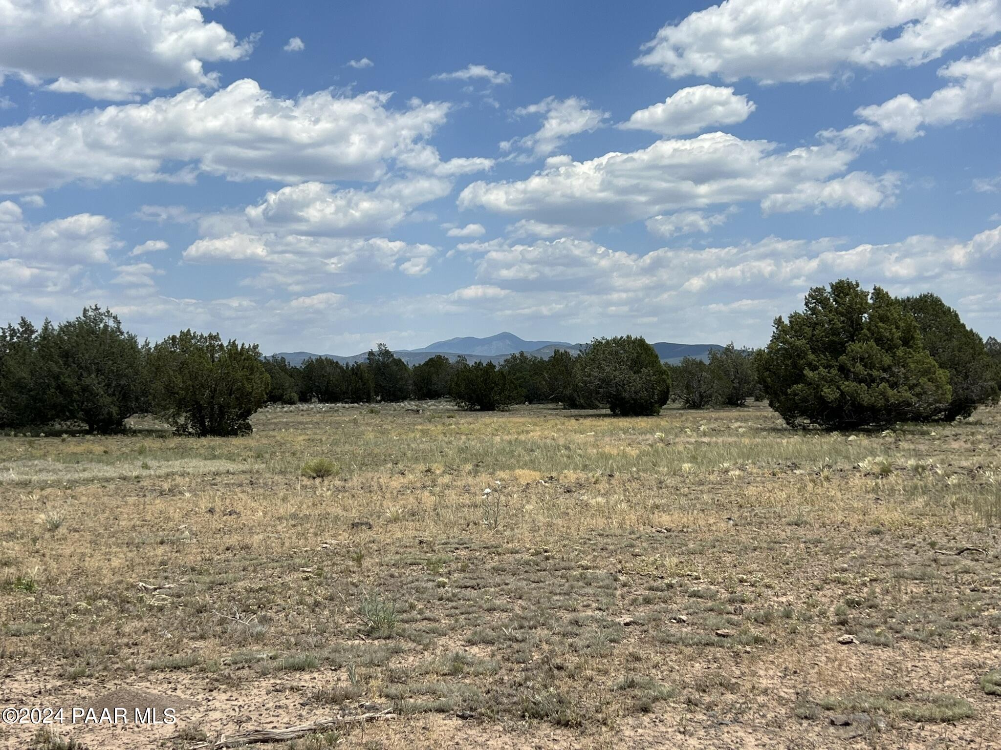 329 B/c Rut Road Ash Fork, AZ 86320 - Photo 17 of 17 IMG_5900