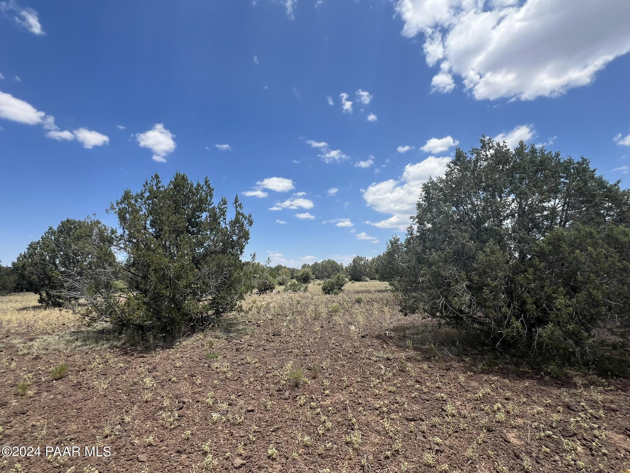 329 B/c Rut Road Ash Fork, AZ 86320 - Photo 2 of 17 IMG_5884