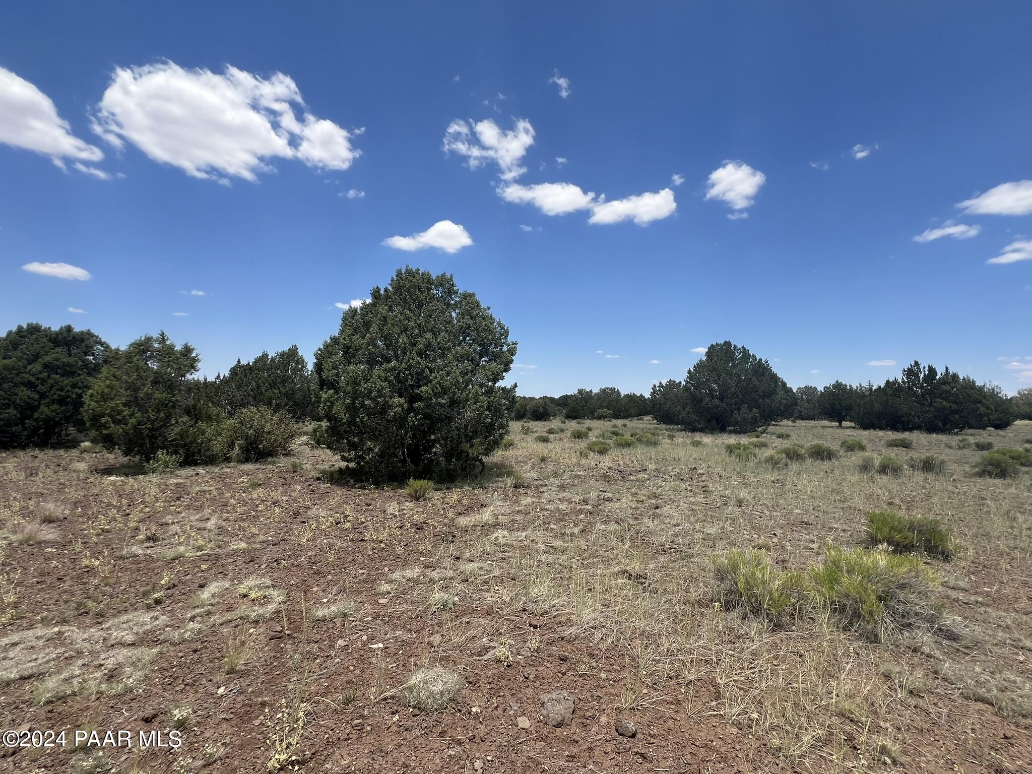 329 B/c Rut Road Ash Fork, AZ 86320 - Photo 3 of 17 IMG_5885