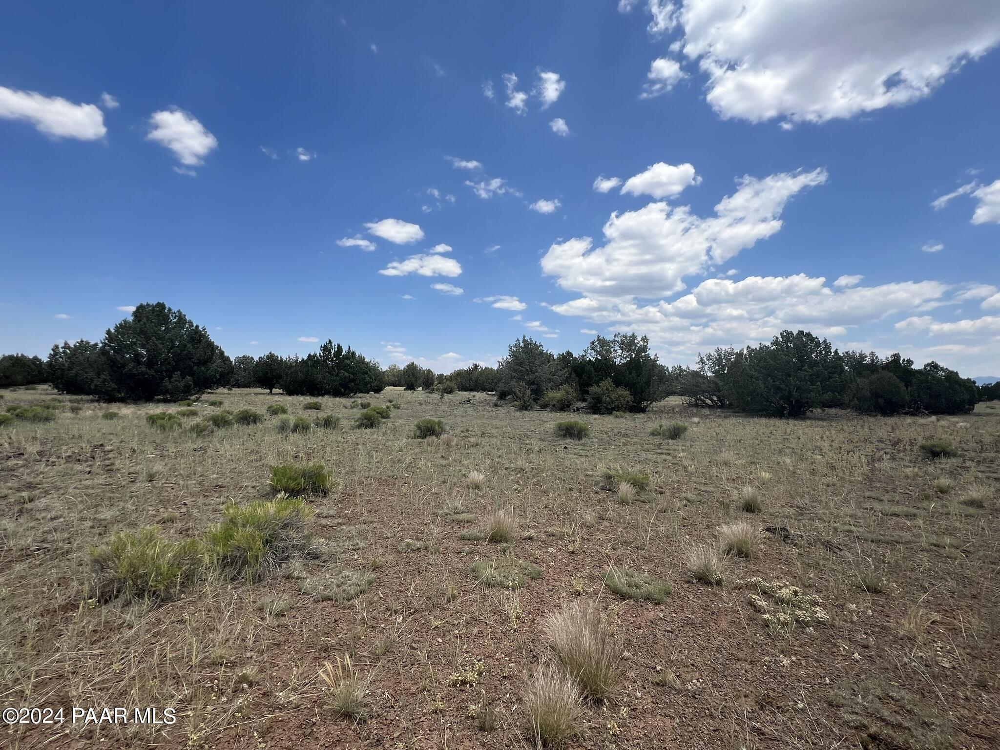 329 B/c Rut Road Ash Fork, AZ 86320 - Photo 4 of 17 IMG_5886