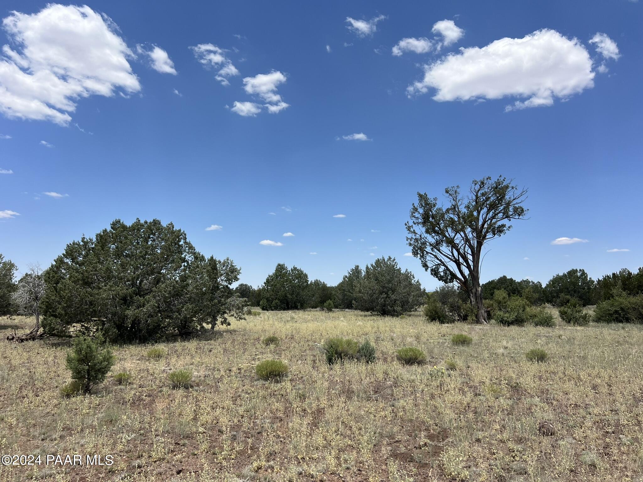 329 B/c Rut Road Ash Fork, AZ 86320 - Photo 5 of 17 IMG_5887