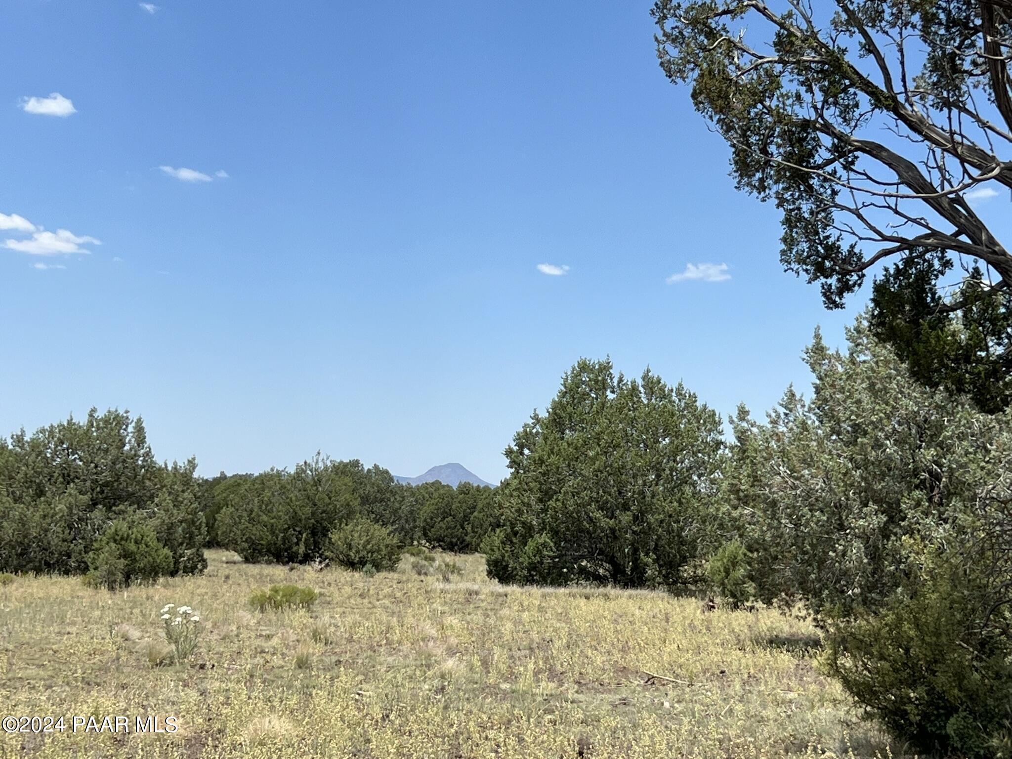 329 B/c Rut Road Ash Fork, AZ 86320 - Photo 6 of 17 IMG_5888