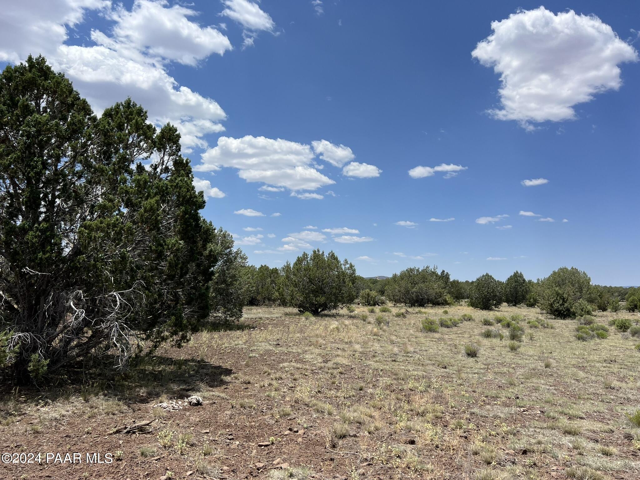 329 B/c Rut Road Ash Fork, AZ 86320 - Photo 7 of 17 IMG_5889