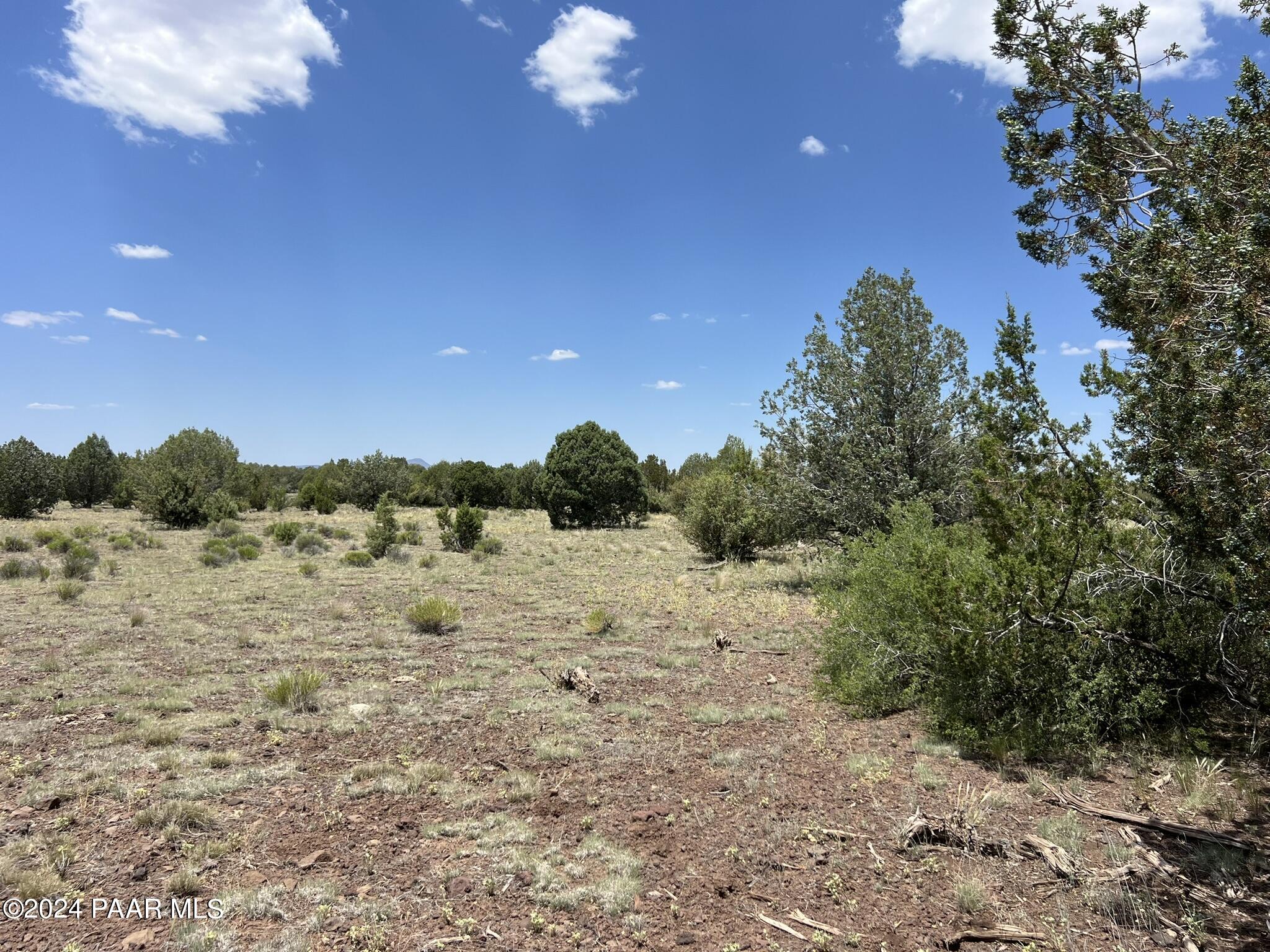 329 B/c Rut Road Ash Fork, AZ 86320 - Photo 8 of 17 IMG_5890