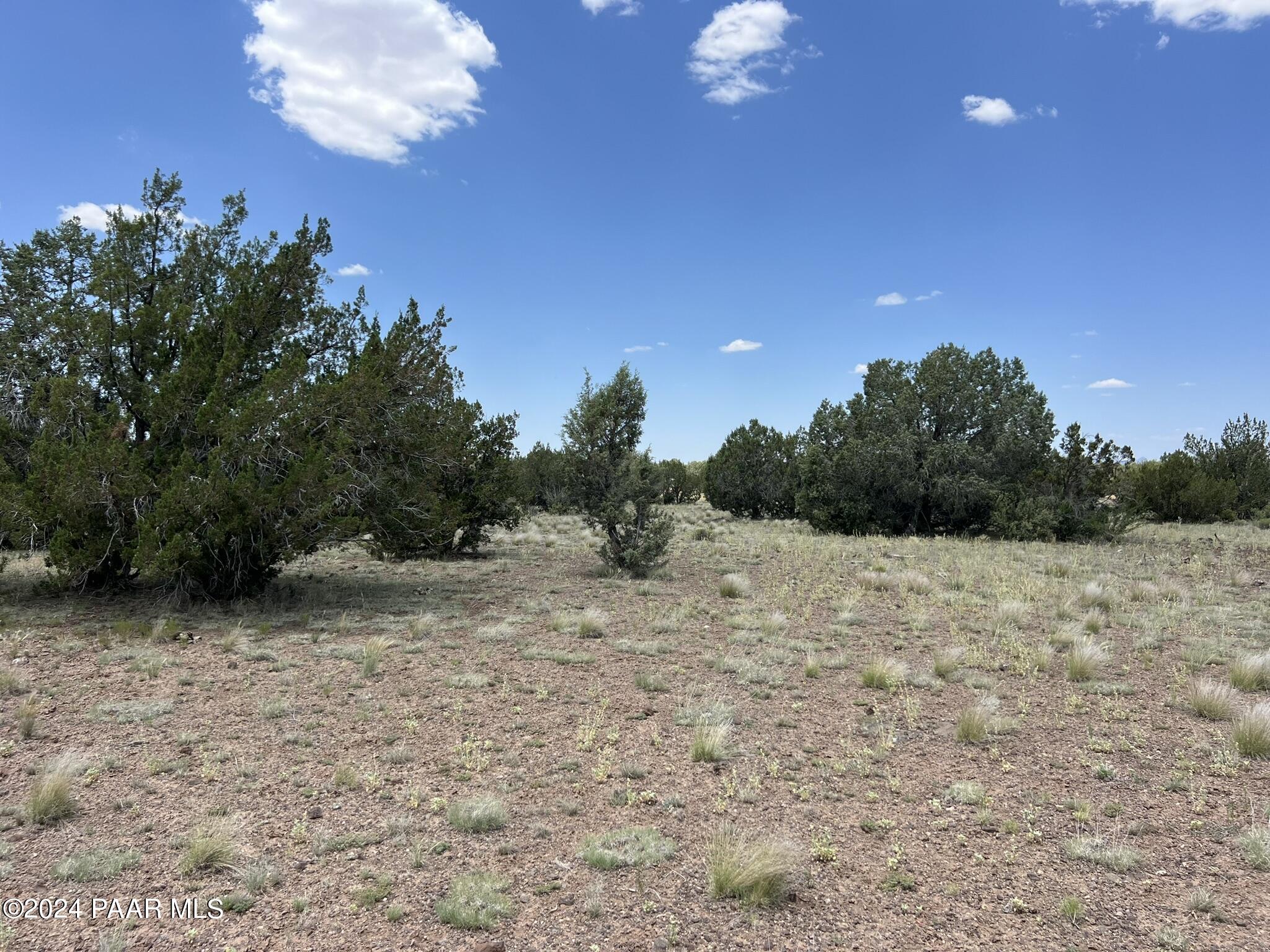 329 B/c Rut Road Ash Fork, AZ 86320 - Photo 10 of 17 IMG_5893